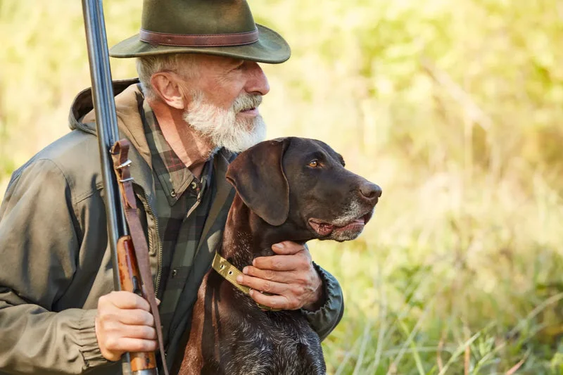 Ultimate Guide to Hunting Dog Breeds